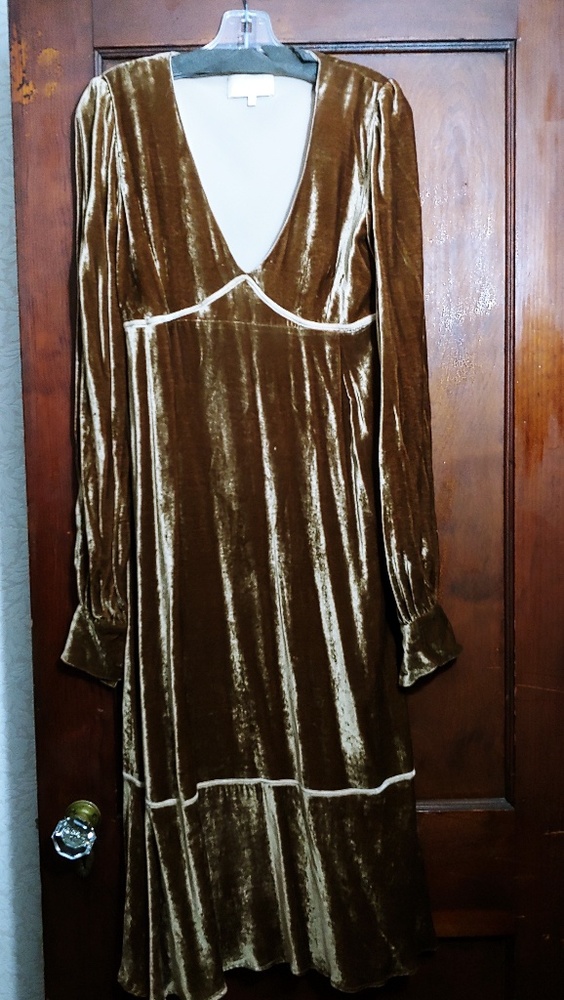 Vintage velvet dress